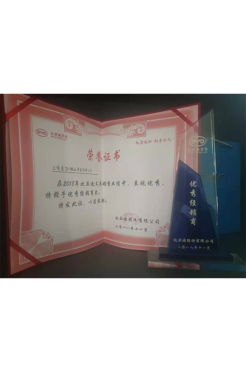 温州市比亚迪2018优秀经销商